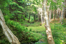 Prince Edward Island, Canada