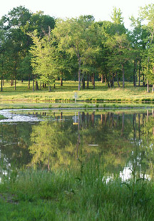 Selah Ranch Lakeside, Talco, Texas