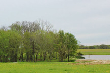 Texas Twist, Mt. Vernon, Texas