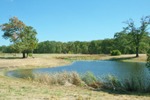 Selah Ranch Creekside, Talco, Texas